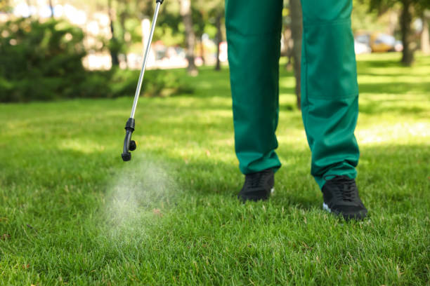Best Commercial Pest Control Services  in Rockport, TX