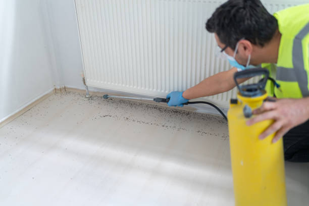 Best Pest Prevention Services  in Rockport, TX